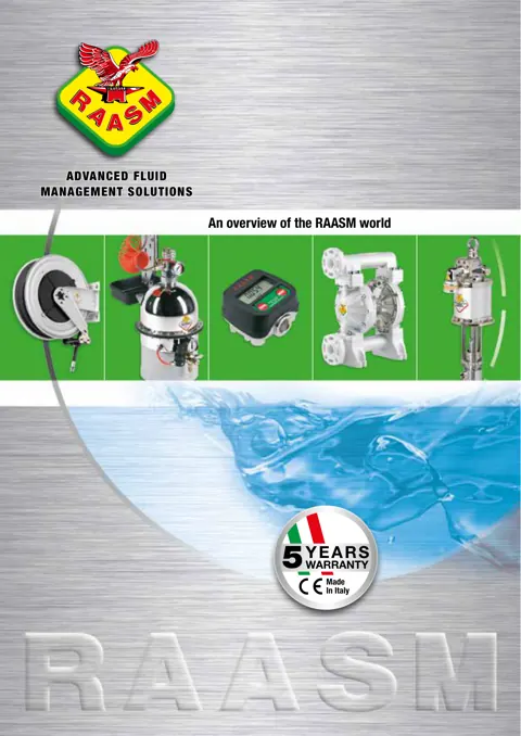 Cover of the An Overview of the RAASM World